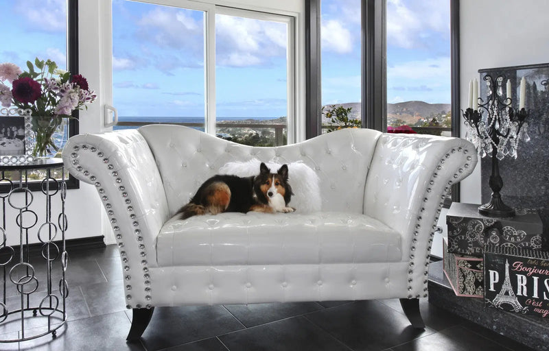 Lifestyle Photo Of Diamond Head Upholstery Tacks on A Sofa