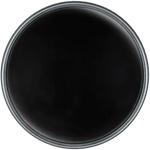 Black Onyx Natural Stone Diamond Head Upholstery Tack